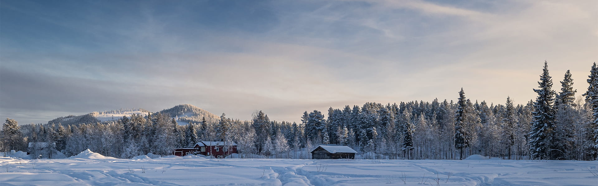 Swedish Lapland landscape